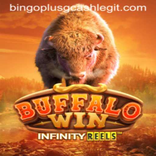 Understanding BuffaloWin and the Legitimacy of Bingo Plus GCash